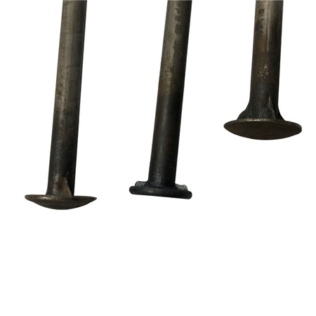 DIN603 rozsdamentes acél 316 A4-70 metrikus gomba kerek fejű négyzet alakú nyakhordozó csavarok M5 M6 M8 M10 M12 M16 M20